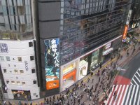 IMG_0054.JPG
